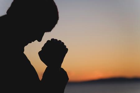 “蘇阿姨”宣告破產 負債總額超1.2億元