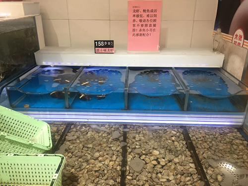 1581219339625112.png LA1XE2(WGWXQ8UH0Q916JCH.png