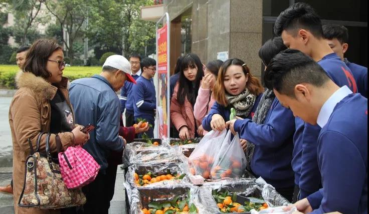 1618195892167708.jpg 1618195892167708.jpg