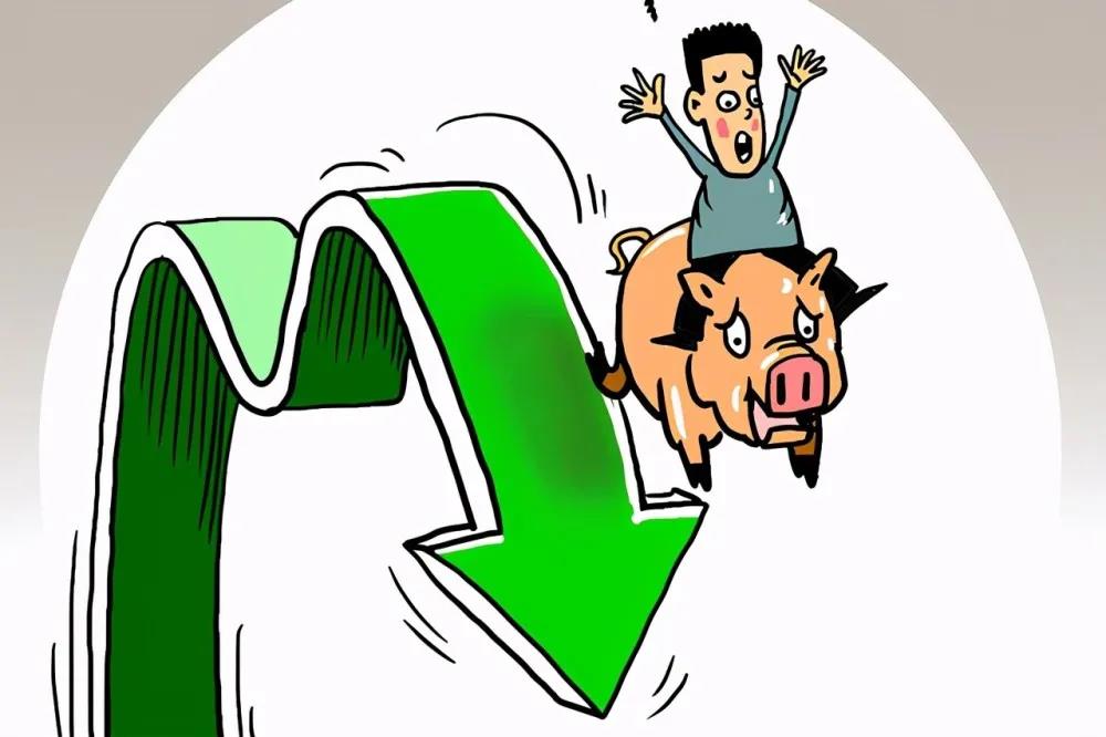 1631584270303851.jpg 1631584270303851.jpg