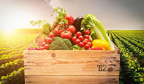 麥金地：從餐配轉(zhuǎn)型食品加工，“三級(jí)廚房”打造全國供應(yīng)鏈集群