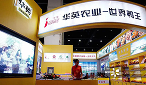  華英農業正式進入破產重整，“世界鴨王”能否浴火重生？