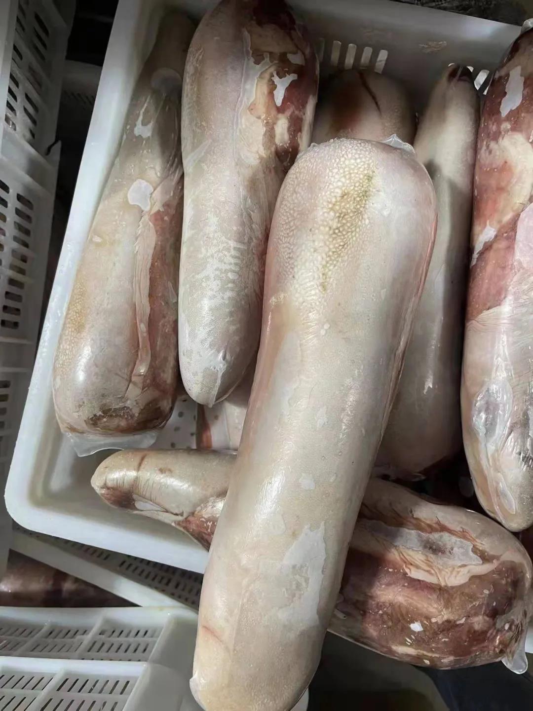 1644826681641054.jpg 1644826681641054.jpg