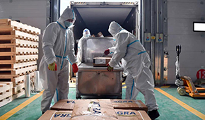 全國28個省份已建成869個集中監(jiān)管倉，進(jìn)口冷鏈“國家平臺”將升級2.0版