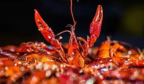 安井再次出手布局，小龍蝦已妥妥成為預制菜行業大單品