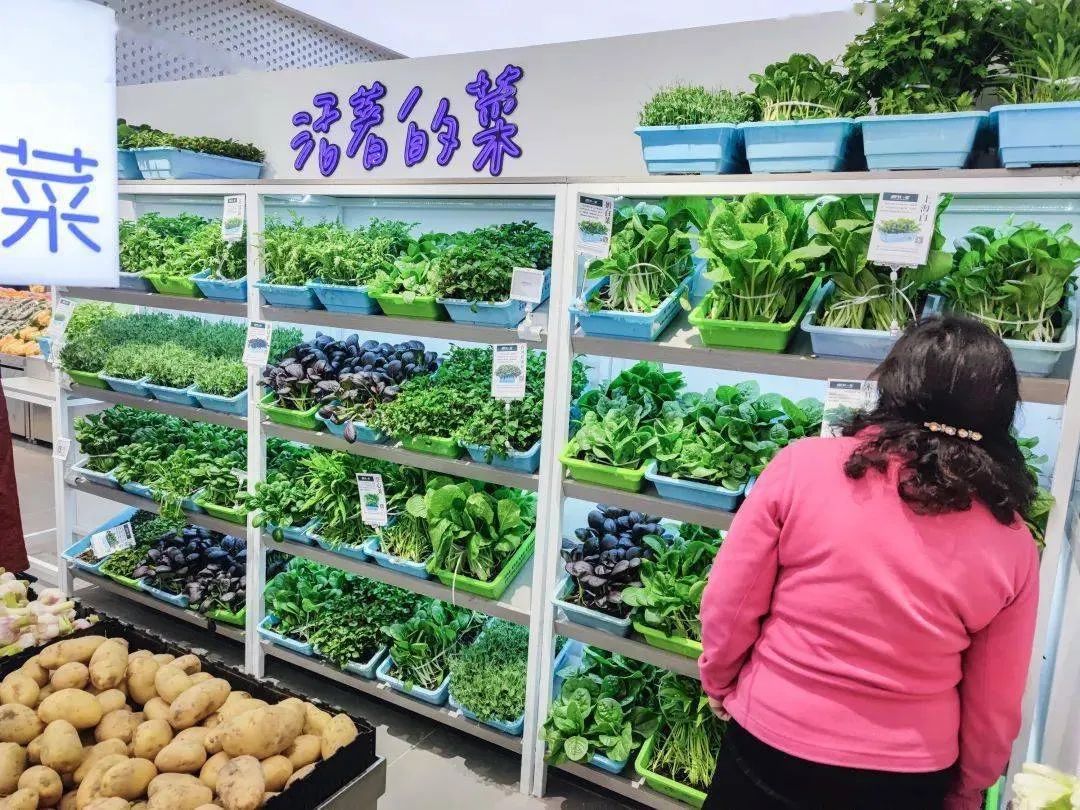 1652664974863705.jpg 1652664974863705.jpg