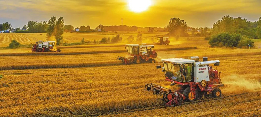 全國7/10的餃子、3/5的湯圓、1/2的火腿腸…河南這樣承包國人餐桌