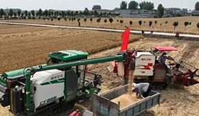 麥收遭遇爛場雨，面粉出廠價“狂飆”，一袋暴漲15元！