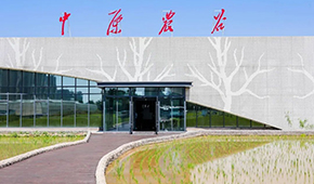 打造千億級(jí)種業(yè)和糧食產(chǎn)業(yè)集群，河南“中原農(nóng)谷”雛形初現(xiàn)