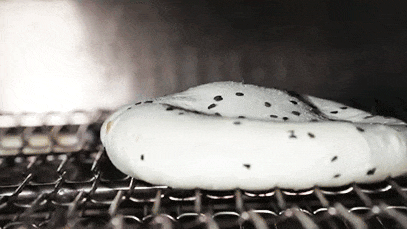 1701825014721087.gif 640.gif