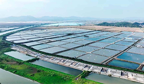 從魚塘到餐桌6重把控，半天妖攜手恒興“定向”養(yǎng)好一條魚