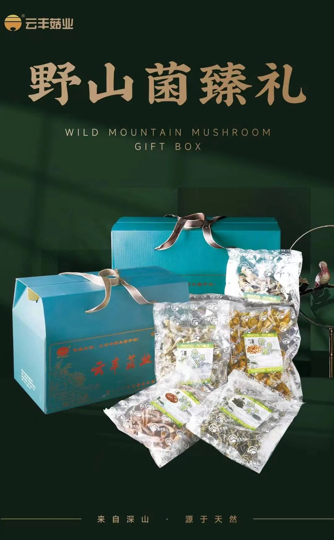 1706495388537473.jpg 1706495388537473.jpg