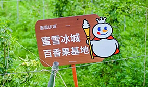 今日上市！覆蓋全球六大洲38個國家，“雪王”的采購網到底有多牛？