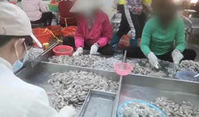 3·15晚會曝光凍蝦仁超量添加保水劑，相關企業產品下架