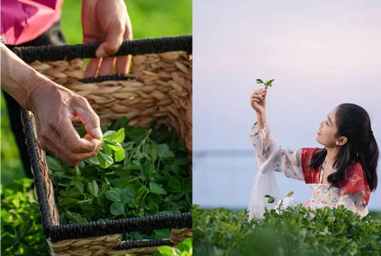 1744945136138313.jpg 1744945136138313.jpg